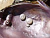 HPIM2525.JPG