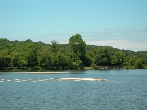 DSCN1917.JPG