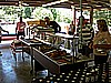 DSCN1920.JPG