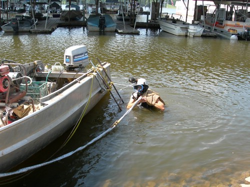 DSCN1952.JPG