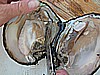 DSCN1966.JPG